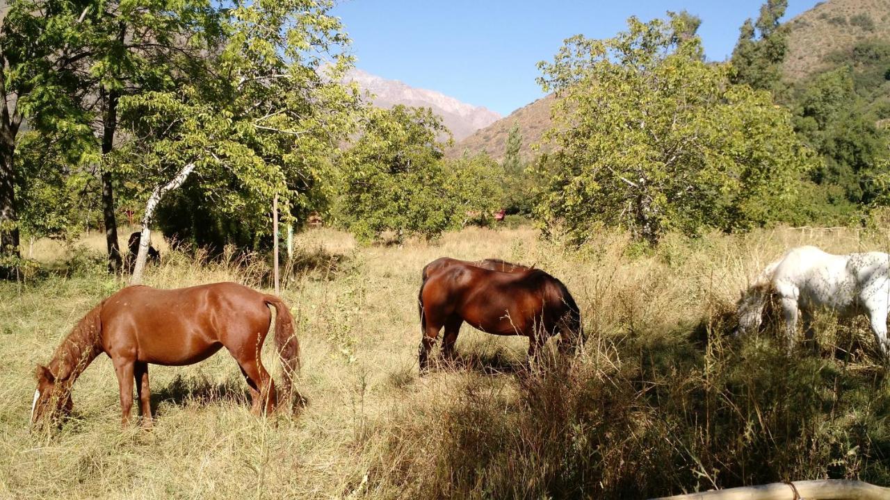 Cascada Lodge Cajon Del Maipo San Jose de Maipo Exterior photo